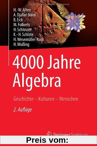 4000 Jahre Algebra: Geschichte - Kulturen - Menschen (Vom Zählstein zum Computer)